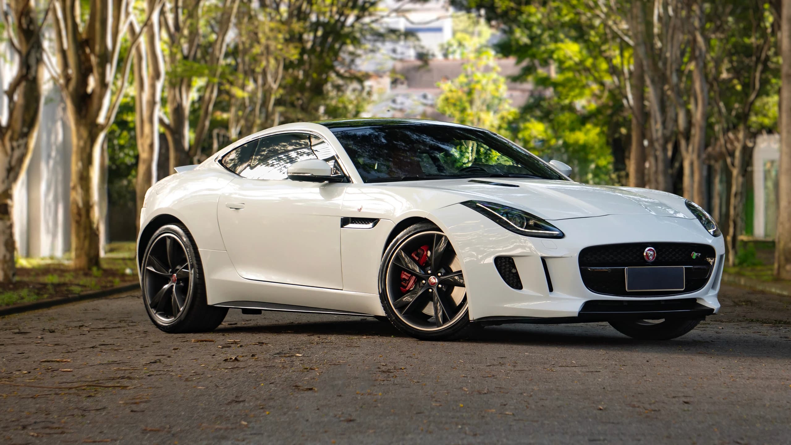 Comprobación del historial de mantenimiento Jaguar