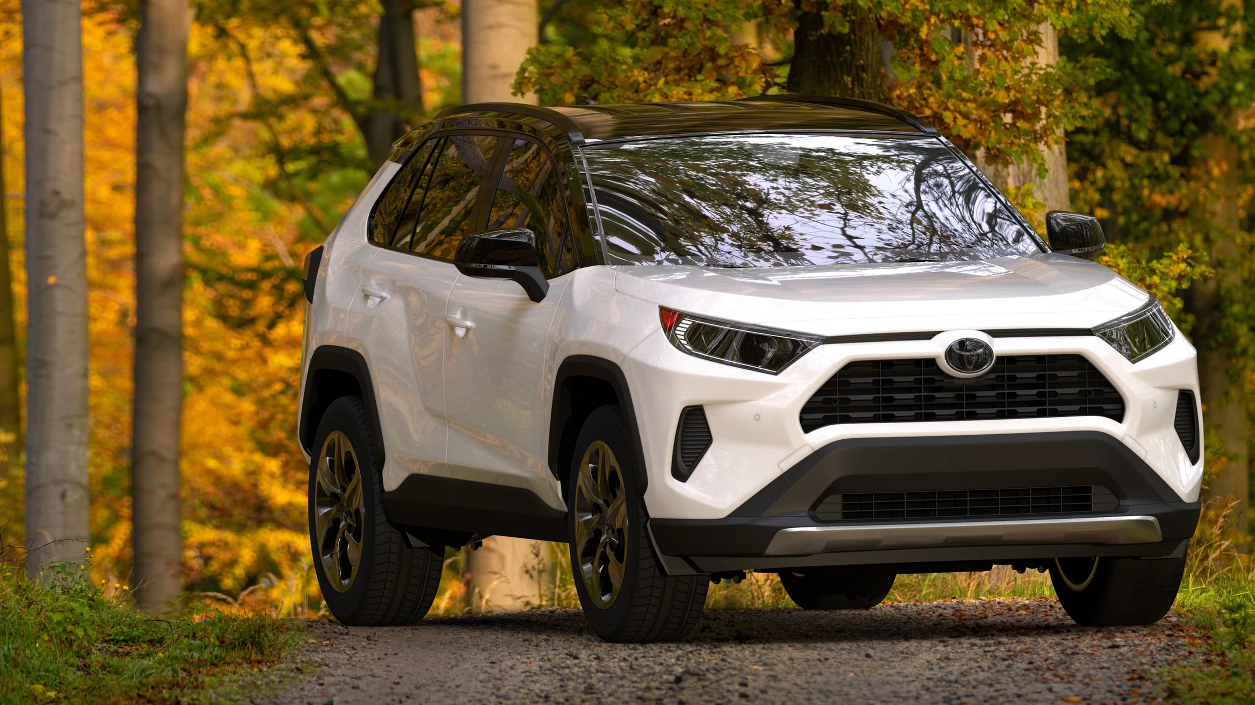 Comprobación del historial de mantenimiento Toyota